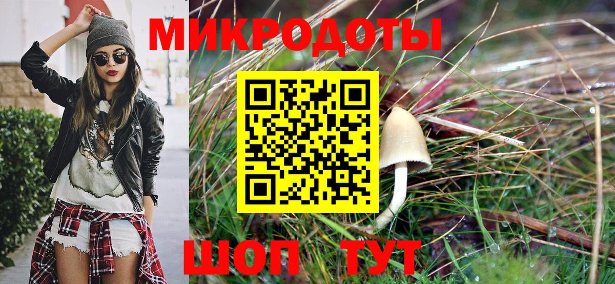 Псилоцибиновые грибы мицелий  Псилоцибиновые грибы мицелий  Вход с VPN  Миллерово 