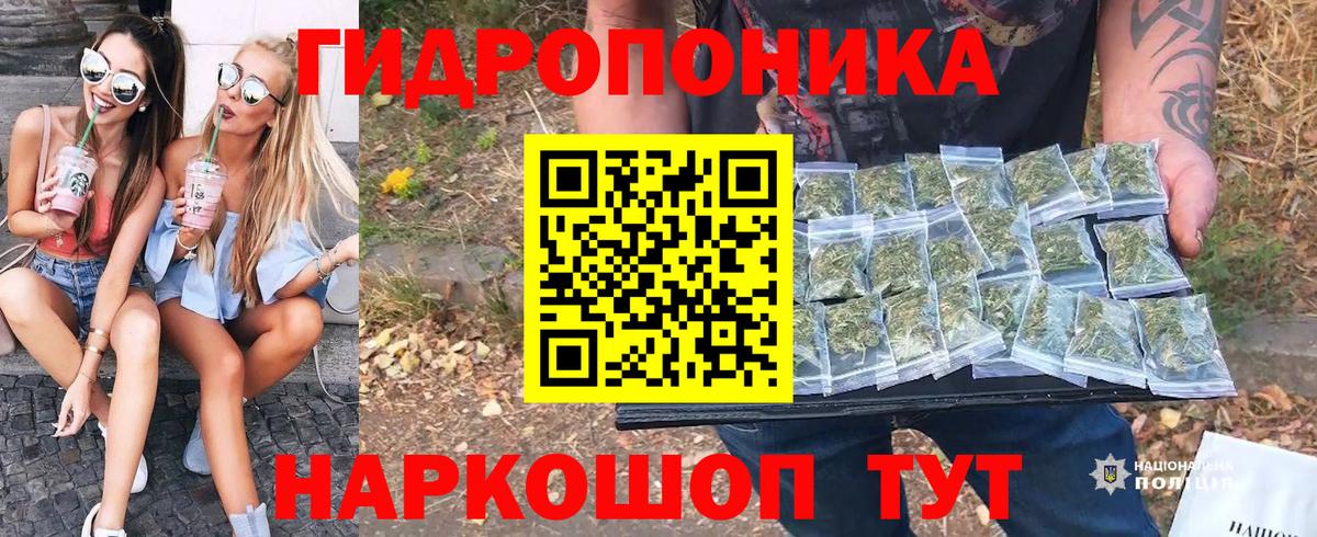 Бошки марихуана план Миллерово